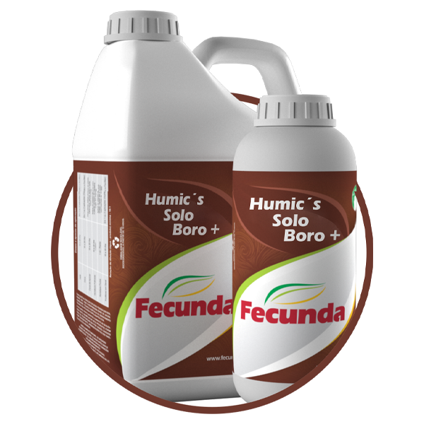 FOLIAR HUMIC'S SOLO BORO+  FECUNDA