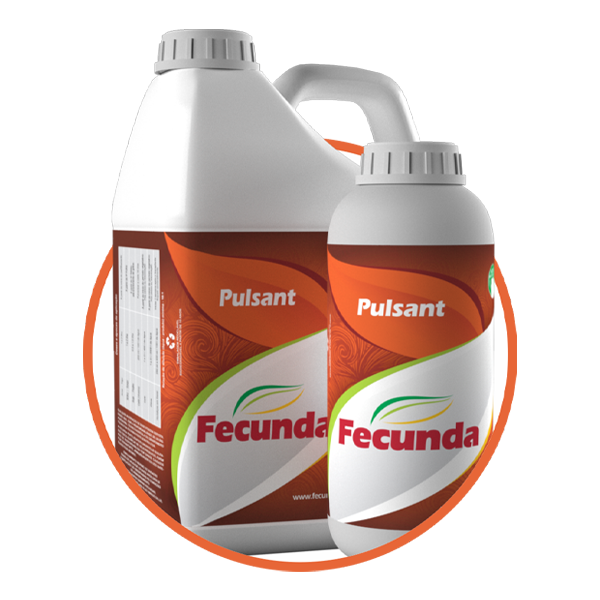 PULSANT FOLIAR FECUNDA